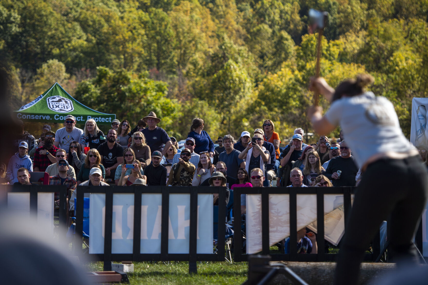 Backbone Lumberjack Classic 6